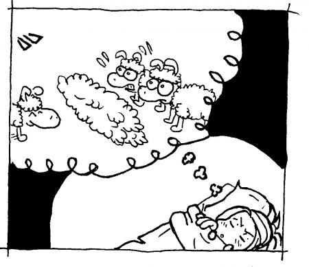 mouton4